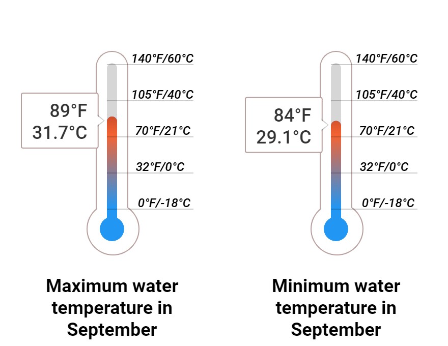 Average Sea temperature